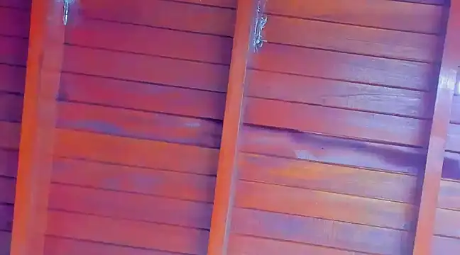 Rosse Emily online show from February 22, 2:28 am