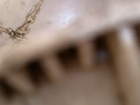 Snapshot of small131 chatting on March 17, 6:29 am small131 online show from March 17, 6:29 am