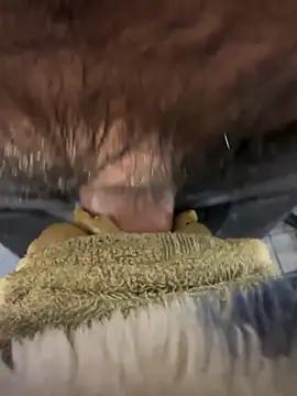 edgher646 online show from April 25, 12:46 am