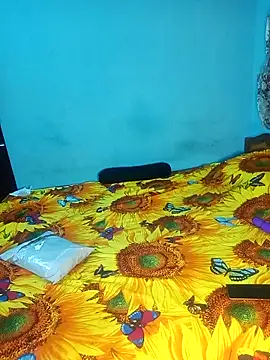 bhavanitelu online show from November 29, 6:33 pm