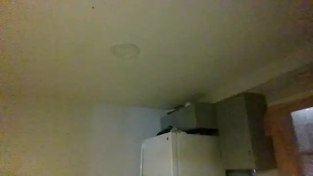 Snapshot of NastyBlackslaveGirl chatting on January 21, 3:15 am NastyBlackslaveGirl online show from January 21, 3:15 am