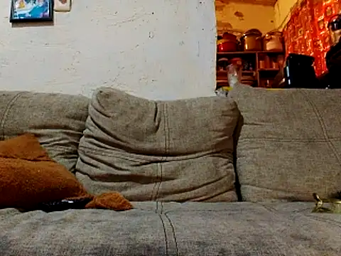 NewBe9D9 online show from November 23, 9:42 am