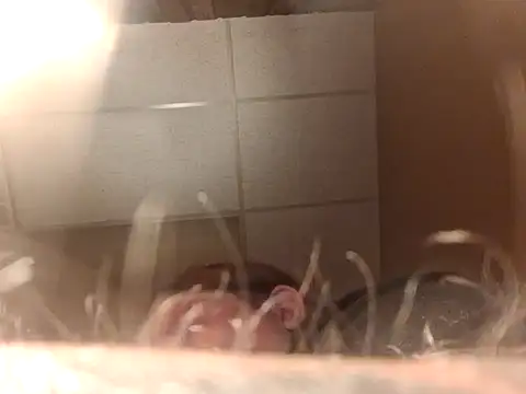 chrissybear84 online show from June 26, 12:42 pm