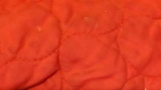 Snapshot of Huntzg23 chatting on November 28, 7:44 am Huntzg23 online show from November 28, 7:44 am