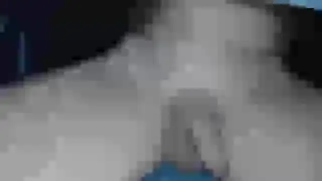 Snapshot of cs1512 chatting on February 13, 6:38 pm cs1512 online show from February 13, 6:38 pm