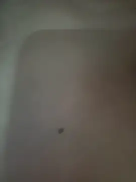 Akhi Akshaya online show from January 6, 5:38 pm