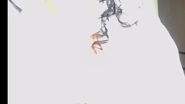 arianna ros3 online show from February 16, 2:18 am