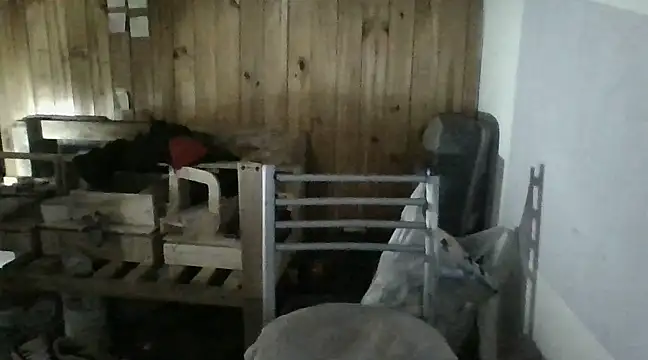 Snapshot of italianbighorse22 chatting on January 18, 6:03 am italianbighorse22 online show from January 18, 6:03 am