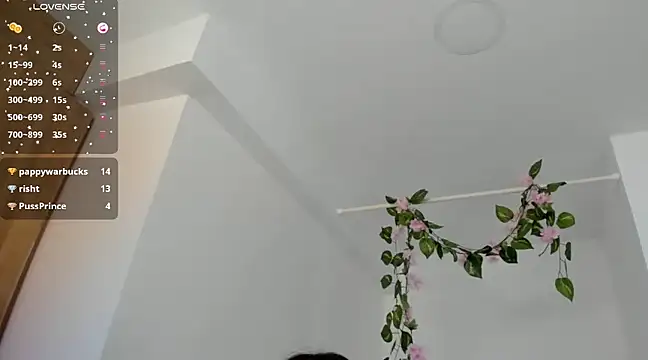 Ninna--1 online show from January 12, 6:49 pm