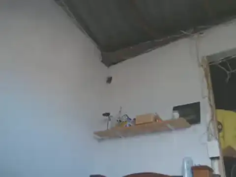 gatoalex89 online show from January 15, 8:05 pm