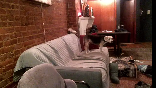 Johnny Bottoms online show from September 24, 11:19 pm