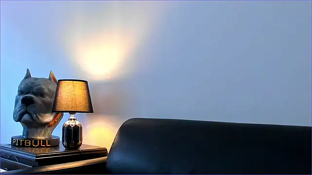 Snapshot of BradLeon_ chatting on October 8, 5:54 pm BradLeon online show from October 8, 5:54 pm