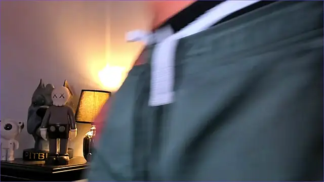 Snapshot of BradLeon_ chatting on November 23, 9:36 pm BradLeon online show from November 23, 9:36 pm