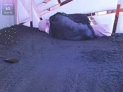 Snapshot of GabrielaFerrer02 chatting on January 22, 2:56 pm GabrielaFerrer02 online show from January 22, 2:56 pm