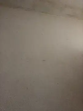 BELLAMORGANE1 online show from November 2, 9:22 am