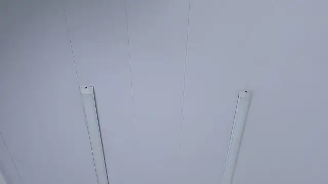 IsabellRodriguez18 online show from October 31, 2:56 am