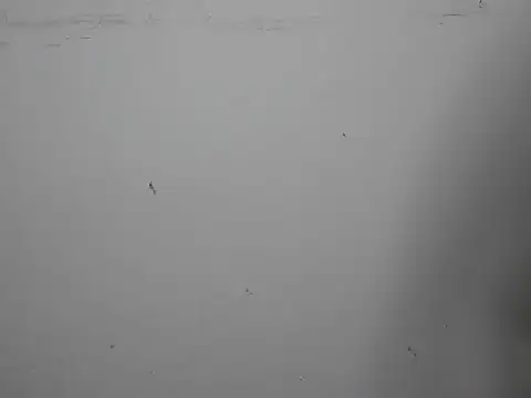 Snapshot of GoddessGlide chatting on March 16, 11:16 am GoddessGlide online show from March 16, 11:16 am