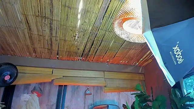 MarcoVitto online show from November 18, 7:29 pm