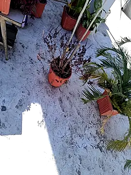 dreamers dick online show from January 3, 6:44 am