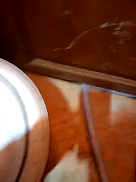 javierpasteur69 online show from October 30, 5:31 am