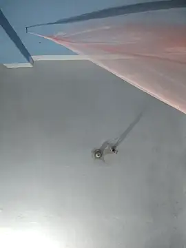 124pakhi online show from October 10, 8:35 am