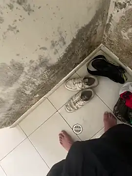 elflalope online show from November 4, 8:52 pm