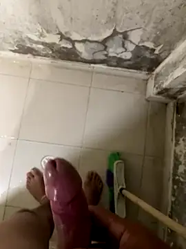 elflalope online show from November 7, 7:52 am