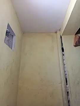 Pooja cut online show from December 16, 5:12 am