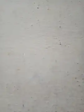 Pooja cut online show from December 17, 2:28 am