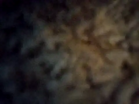 Snapshot of royyul chatting on March 21, 2:39 am royyul online show from March 21, 2:39 am