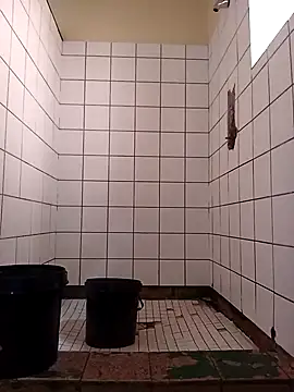 Dube501 online show from November 17, 5:46 am