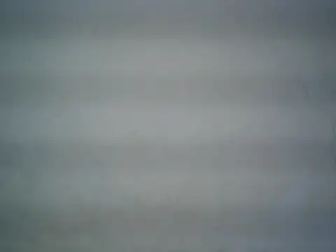 michel1520 online show from June 12, 12:26 pm