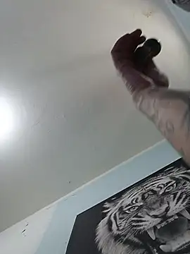 dany hardy online show from November 16, 7:30 pm