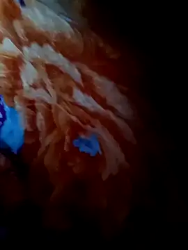 Snapshot of rameshjisex chatting on November 12, 1:17 am rameshjisex online show from November 12, 1:17 am