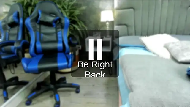 bruce hans online show from October 4, 11:41 am