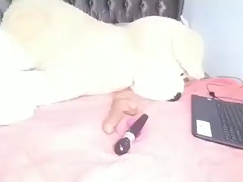 Snapshot of Chandy012 chatting on April 8, 6:13 am Chandy012 online show from April 8, 6:13 am