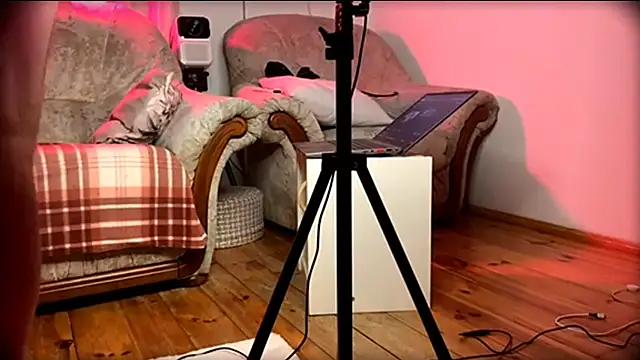 AssHunter4k online show from February 23, 12:30 am