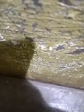 Southindian6996 online show from February 26, 4:24 pm