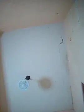 Snapshot of LuisMex1998 chatting on November 14, 2:21 am LuisMex1998 online show from November 14, 2:21 am