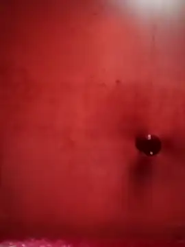 Raj41 online show from October 21, 9:43 am