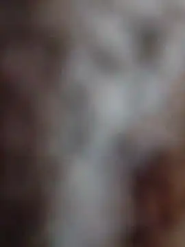 mhmia online show from February 12, 3:51 pm