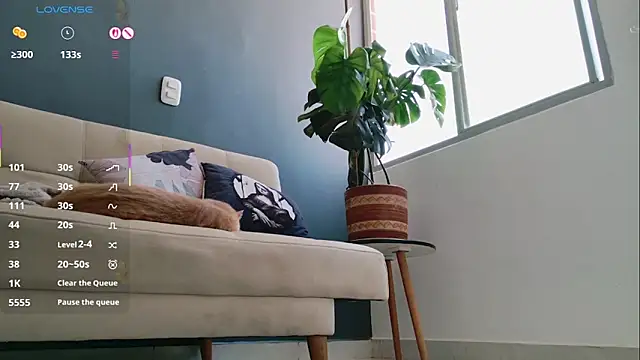 GerberaBlooms77 online show from March 11, 6:52 pm