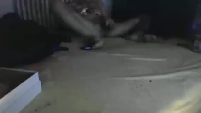 Damn bro23 online show from January 31, 8:51 pm