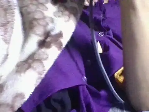 AKANSHA 7 online show from November 1, 4:53 pm