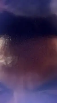 randit7 online show from January 24, 12:52 pm