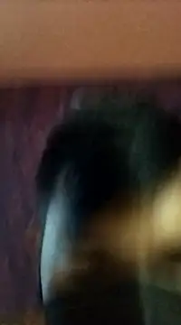 randit7 online show from January 27, 2:42 am