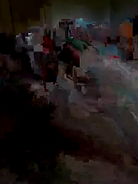 Ariba270 online show from November 1, 9:55 am