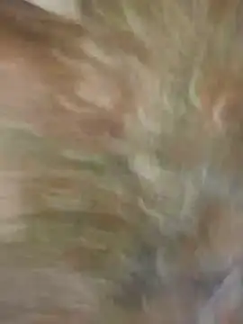 Snapshot of Santiago-Thompson chatting on January 26, 8:23 pm Santiago-Thompson online show from January 26, 8:23 pm