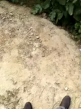 xmanrawan2 online show from January 30, 10:50 am