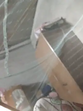 Snapshot of birds0641 chatting on March 31, 7:36 pm birds0641 online show from March 31, 7:36 pm